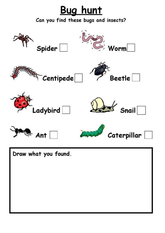 Bug hunt sheet.jpg